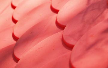 Monikie plastic roof costs